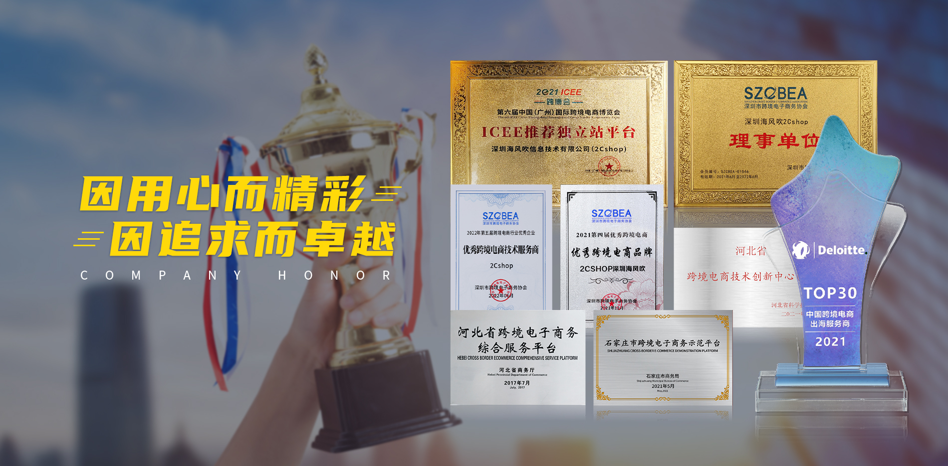 2Cshop跨境独立站