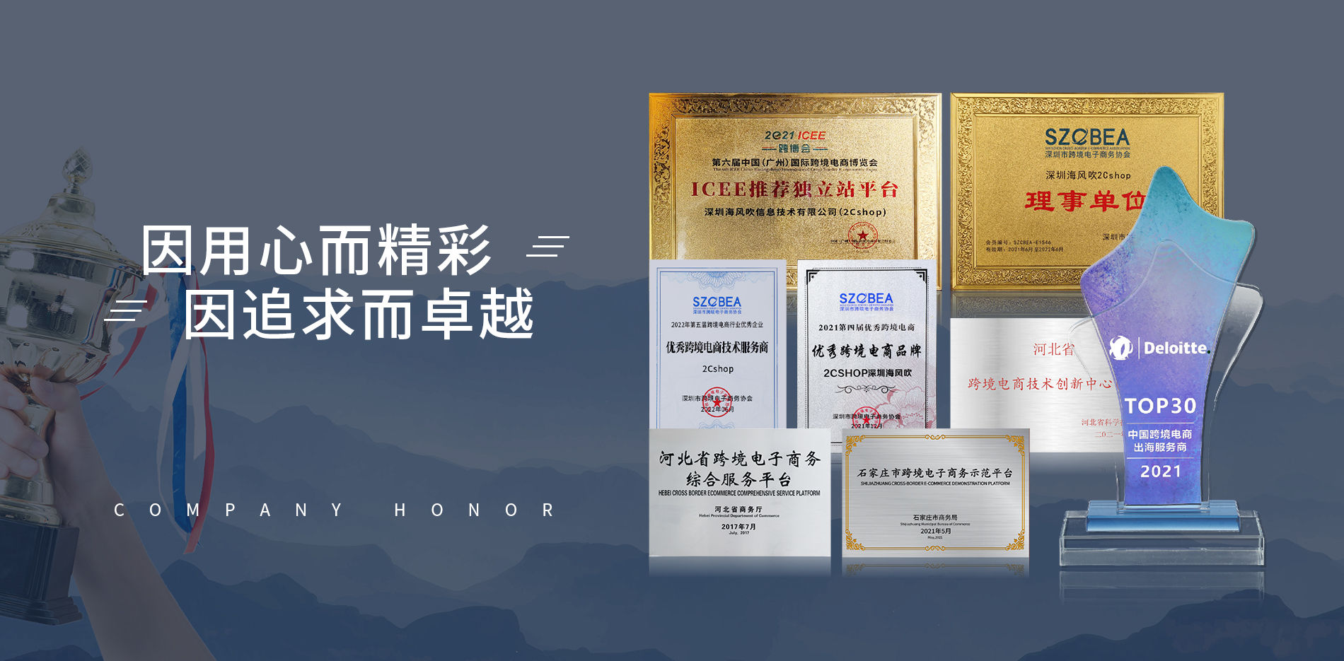 2Cshop跨境独立站