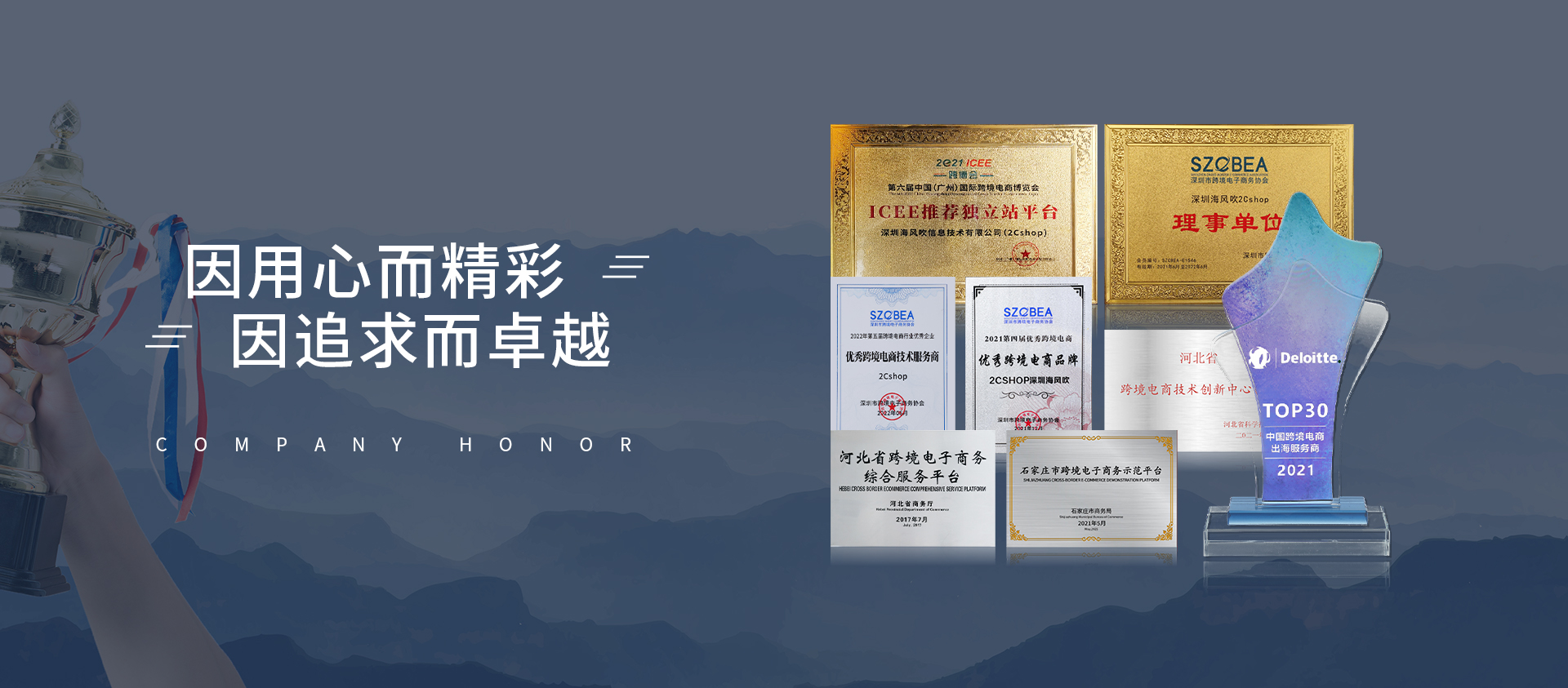 2Cshop跨境独立站